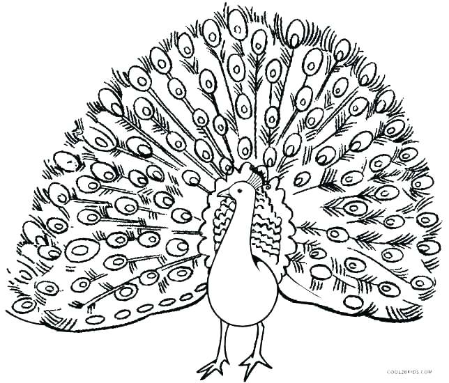 644x550 Peacock Coloring Page Peacock Feather Coloring Page This Is