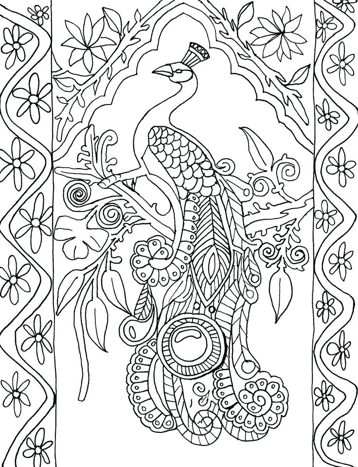 736x961 Peacock Pictures To Color Lovely Peacock Color Page Crayola Photo