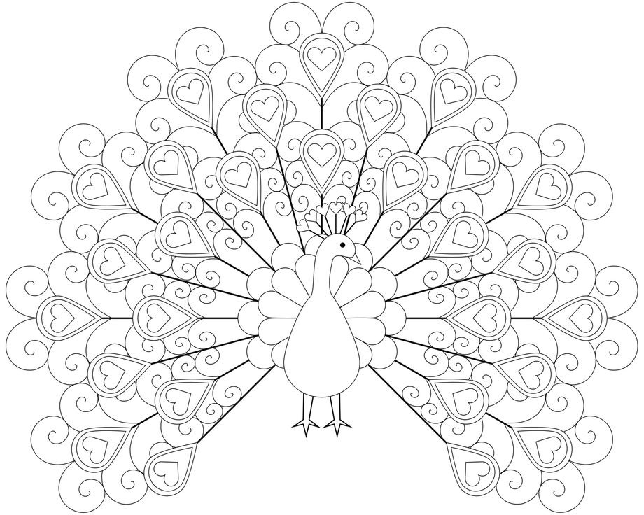 920x736 Peacock Coloring Pages With Love Feathers