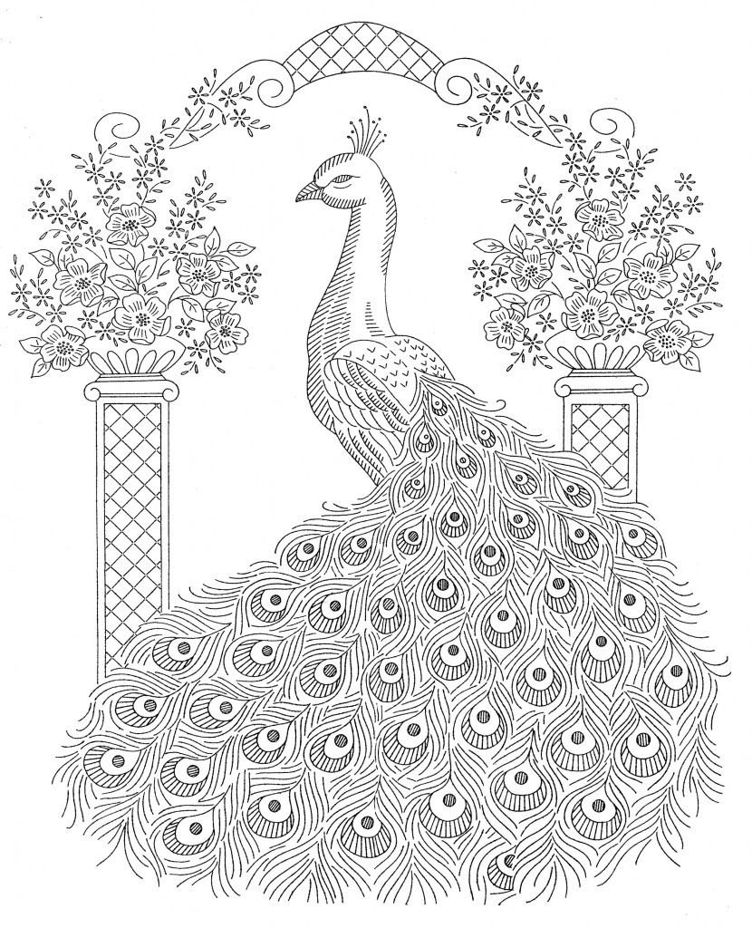 830x1024 Peacock Coloring Page Perspective In Pages With Ribsvigyapan