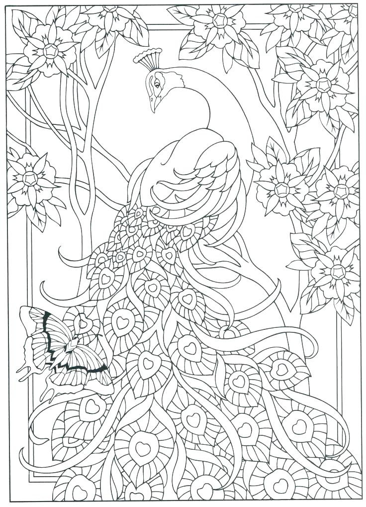 736x1019 Peacock Pictures To Color With Coloring Pages Peacock Peacock