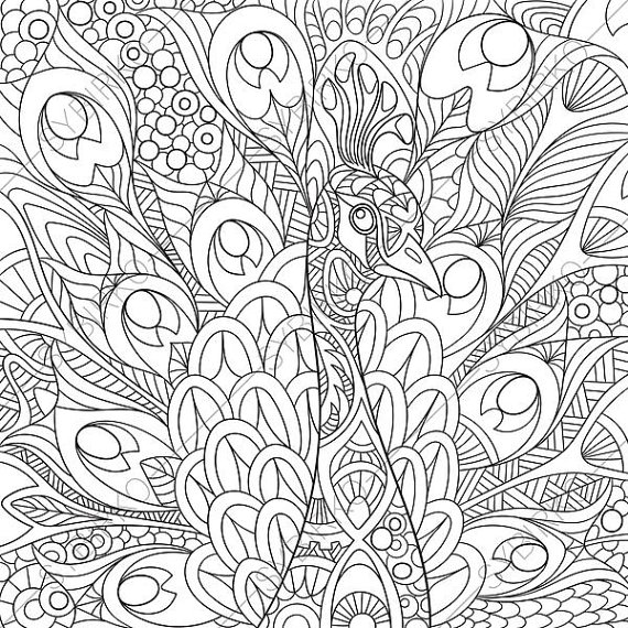 570x570 Peacock Coloring Page Animal Coloring Book Pages For Adults