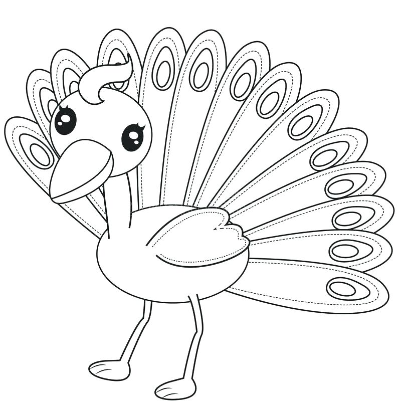 800x806 Coloring Pages Peacock Peacock Coloring Pages For Adults Download