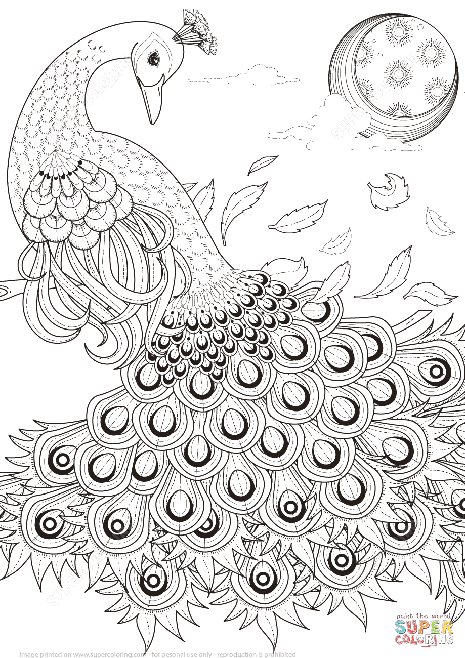 919x1300 Printable Peacock Coloring Page Free Coloring Pages Download