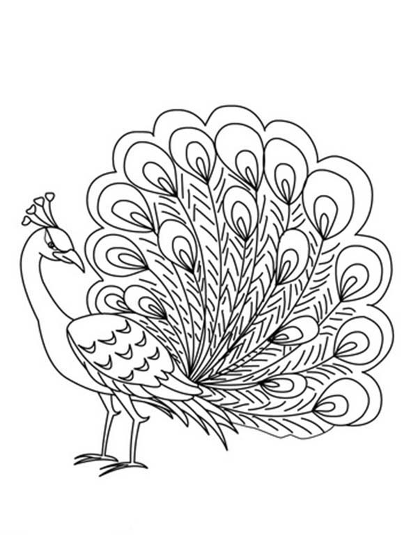 600x775 Printable Peacock Coloring Pages