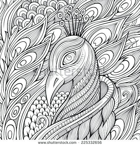 450x470 Peacock Coloring Pages For Adults