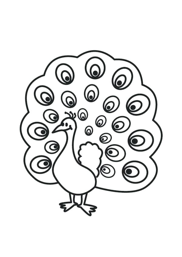 600x847 Peacock Coloring Pages Coloring Pages Printable Coloring Page