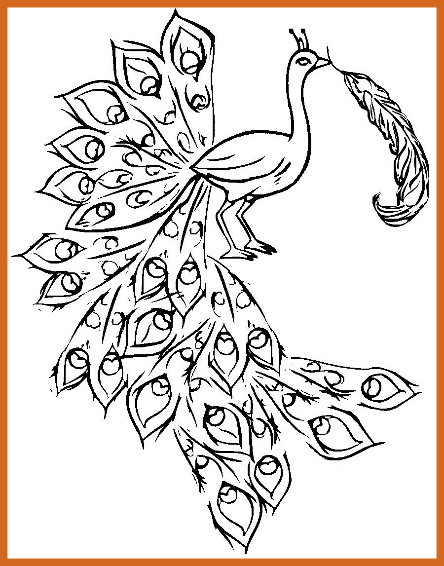 900x1147 Awesome Printable Peacock Coloring Pages Picture For Ideas