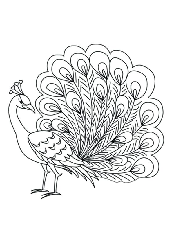 Peacock Coloring Pages For Kids at GetDrawings | Free download