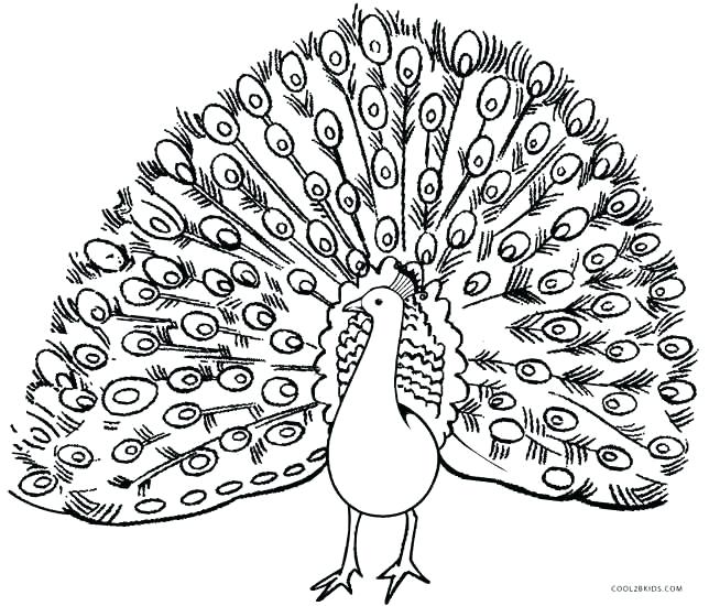 644x550 Peacock Colouring Pages And Peacock Feathers Colouring Page