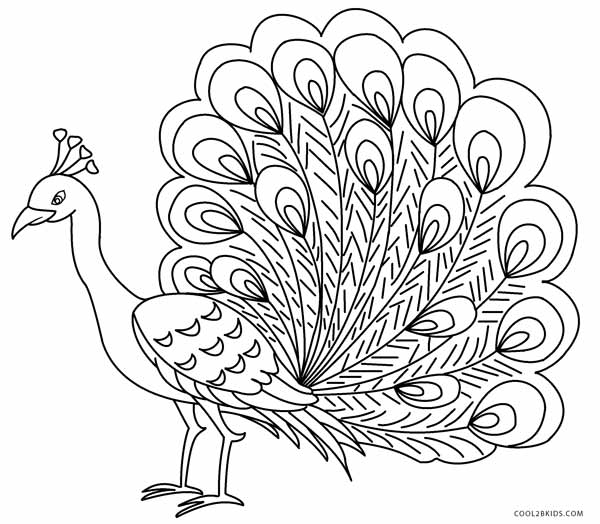 600x524 Peacock Colouring Picture Printable Peacock Coloring Pages