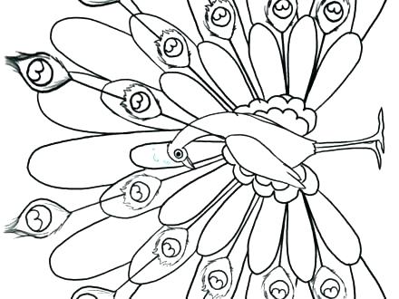 440x330 Coloring Peacock