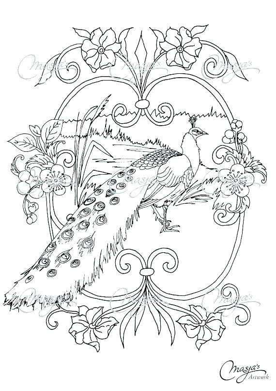 570x806 Peacock Pictures Coloring Pages