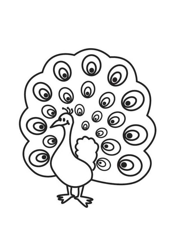 Peacock Coloring Pages Printable at GetDrawings | Free download