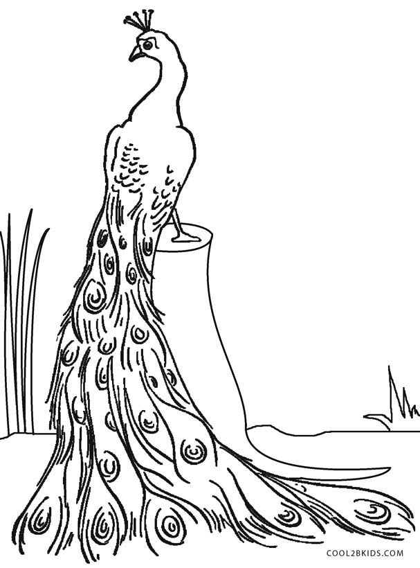 607x820 Printable Peacock Coloring Pages For Kids