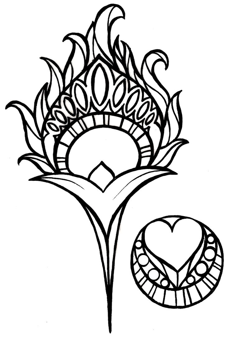 736x1088 Peacock Feather Coloring Page