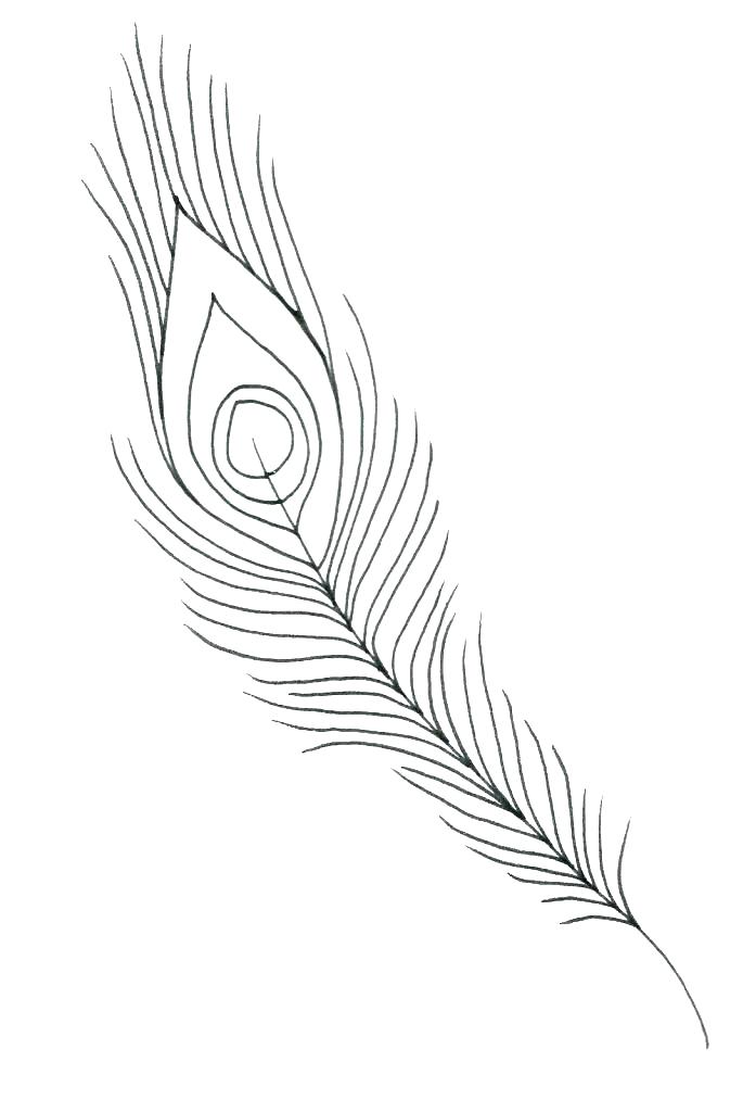 697x1024 Peacock Feather Coloring Page Bird Feather Coloring Pages