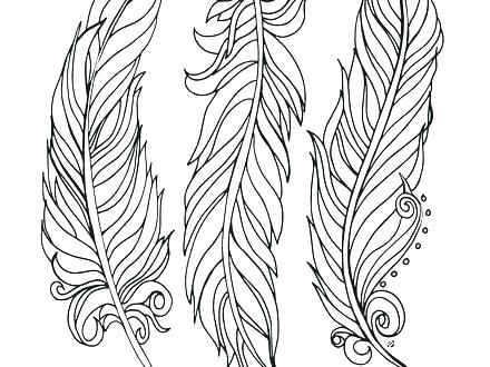 440x330 Peacock Feather Coloring Page Littlest Pet Shop Ring Pages Peacock