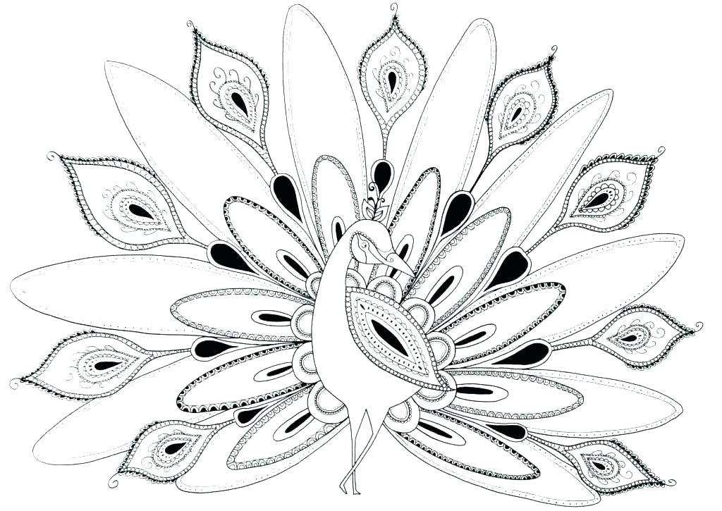 1024x725 Peacock Feather Coloring Page Peacock Coloring Pages New Hard