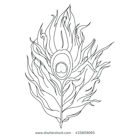 450x470 Peacock Feather Outline Tattoo Printable Coloring Feather Coloring