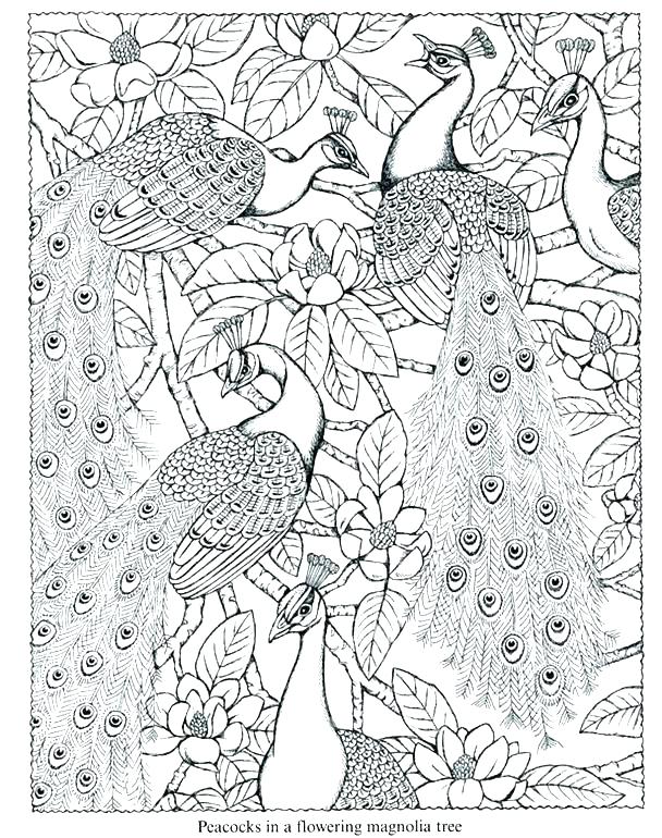 608x770 Peacock Pictures Coloring Pages Peacock Coloring Pages Excellent