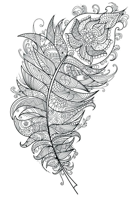 570x806 Printable Feather Coloring Pages Printable Coloring Feather