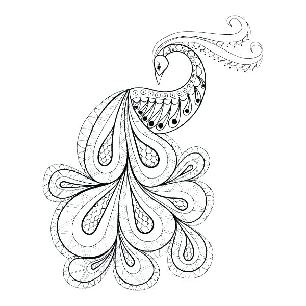 600x600 Feather Coloring Page Peacock Feather Coloring Page Peacock