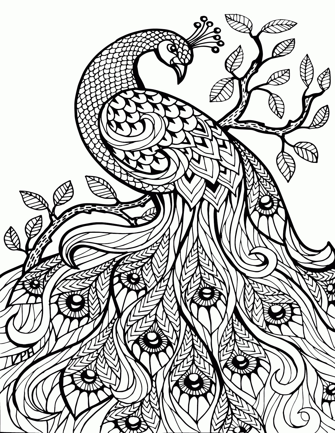 1275x1650 Detailed Peacock Coloring Pages Copy Peacock Coloring Pages Fresh