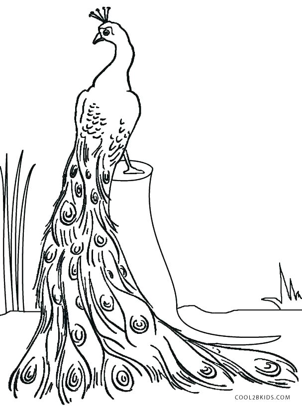 607x820 Peacock Colouring Pages And Peacock Feathers Colouring Page