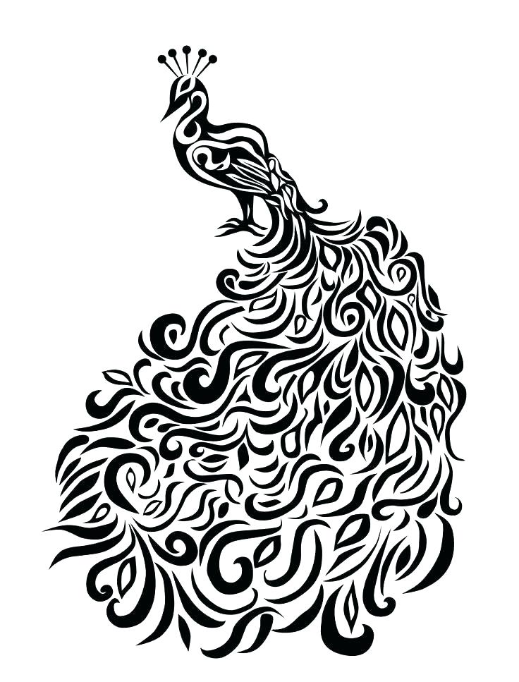 736x967 Coloring Pages Peacock