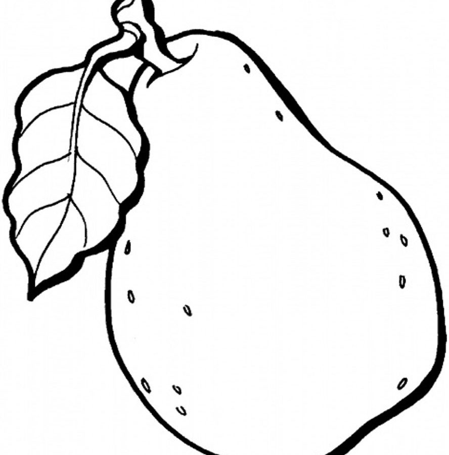 888x900 Fruits Coloring Pages Printable Httpprocoloring Of Fruit For Kids
