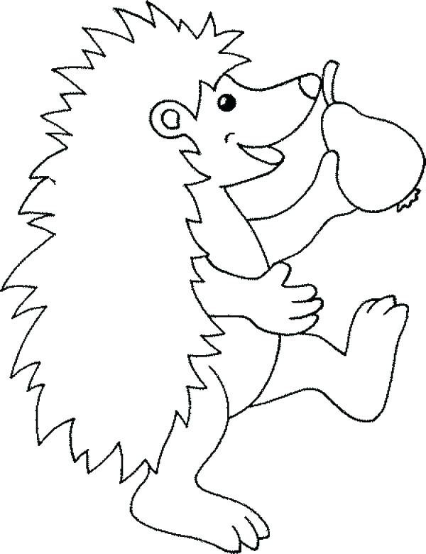 600x780 Hedgehog Color Top Rated Sonic Color Pages Pictures Sonic