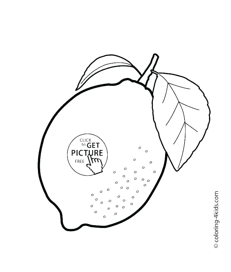 736x865 Coloring Pages Of Fruit