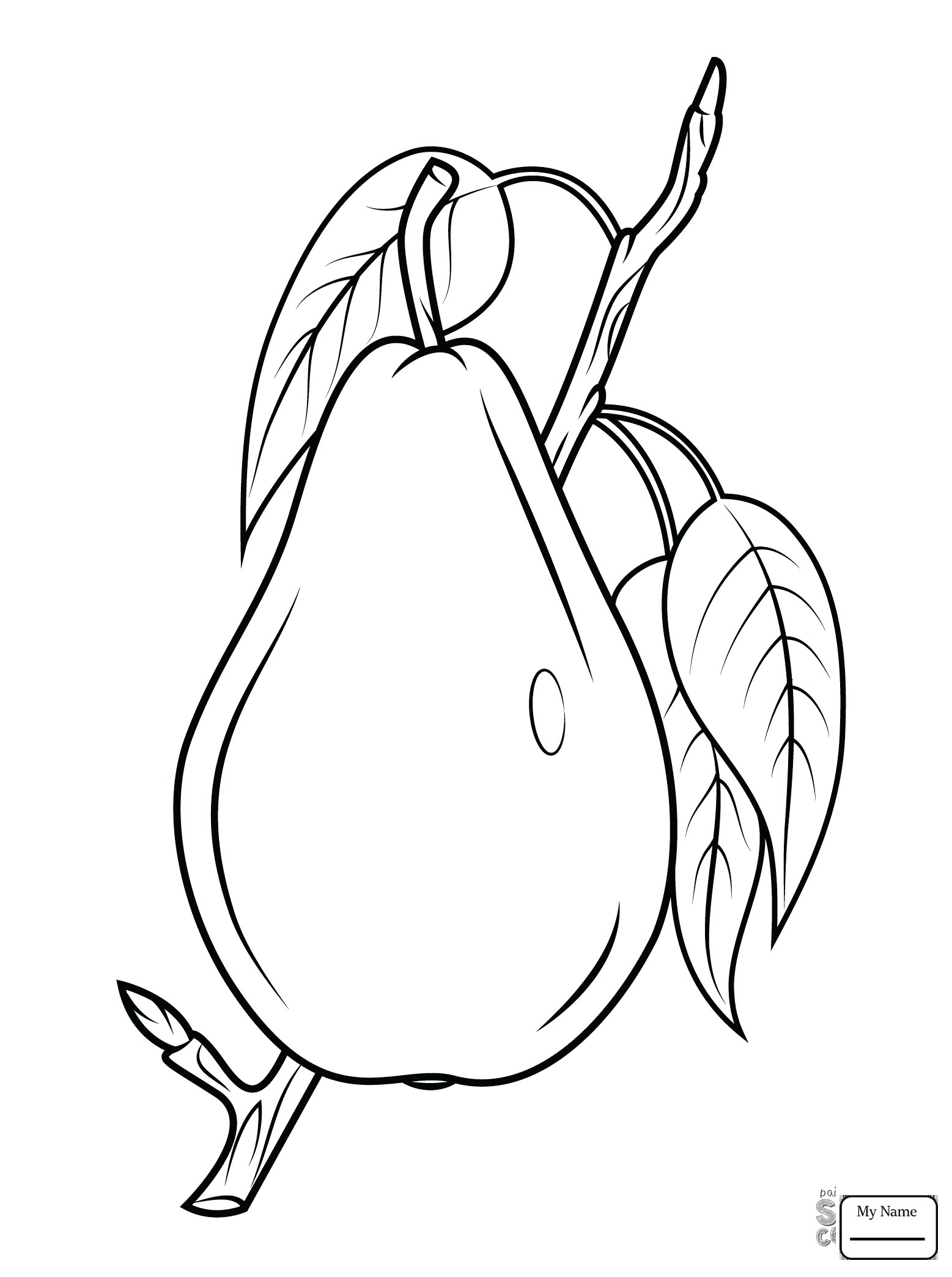 1557x2087 Fresh Pear Fruit Coloring Pages Design Printable Coloring Sheet