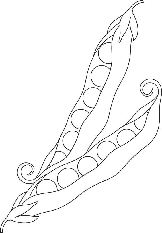 565x812 Peas Vegetable Coloring Page Food, Drink And Cooking Coloring