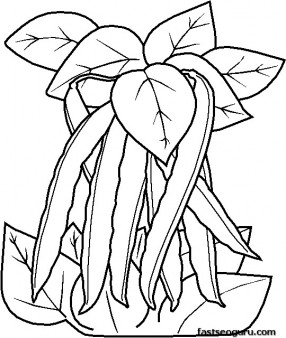 286x338 Printable Vegetable Peas Coloring Page