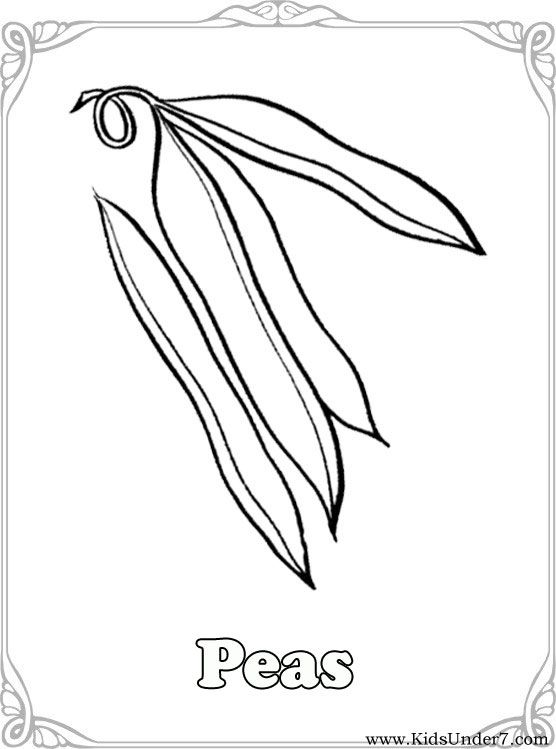 556x749 Vegetables Coloring Pages Vegetable Coloring Find Free Coloring