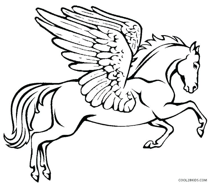 736x644 Pegasus Coloring Pages Reduced Coloring Pages Minimalist Page Fee