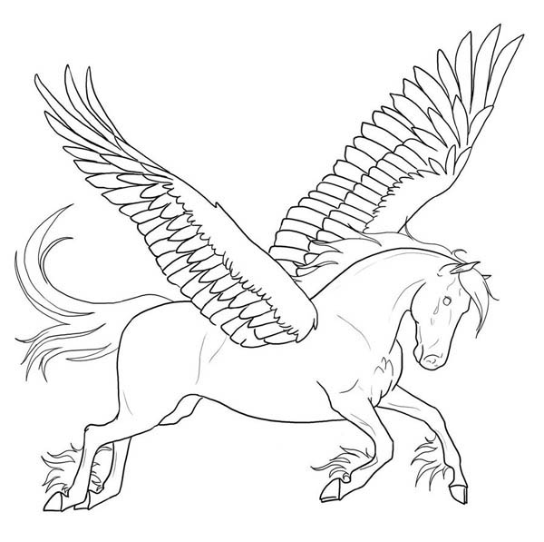 600x597 Innovation Pegasus Coloring Pages To Print Printable For Kids