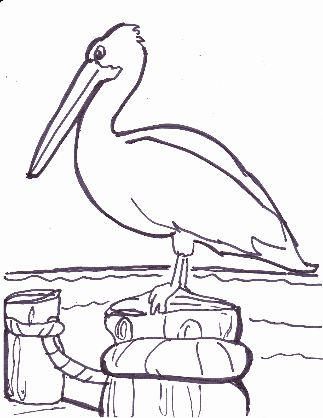 1236x1600 Pelican Coloring Pages Pictures Pelican Coloring Page Free Pelican