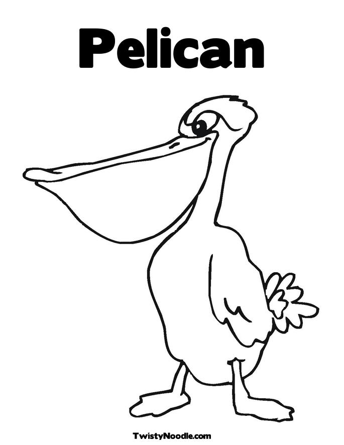 685x886 Pelican Coloring Pages