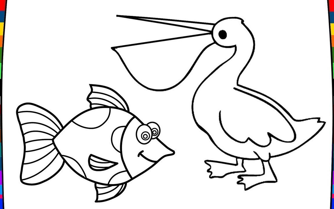 1152x720 Coloring For Kids Pelican Pages Unusual Eastern Brown Halo