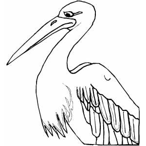 300x300 Coloring Page