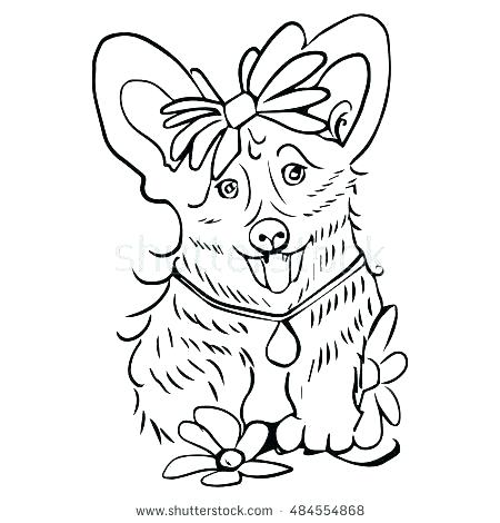 450x470 Corgi Coloring Pages French Bulldog Coloring Pages Top Rated