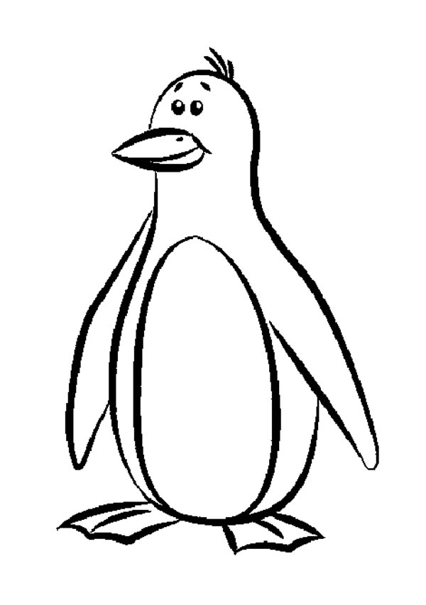 600x853 Cartoon Penguin Coloring Pages