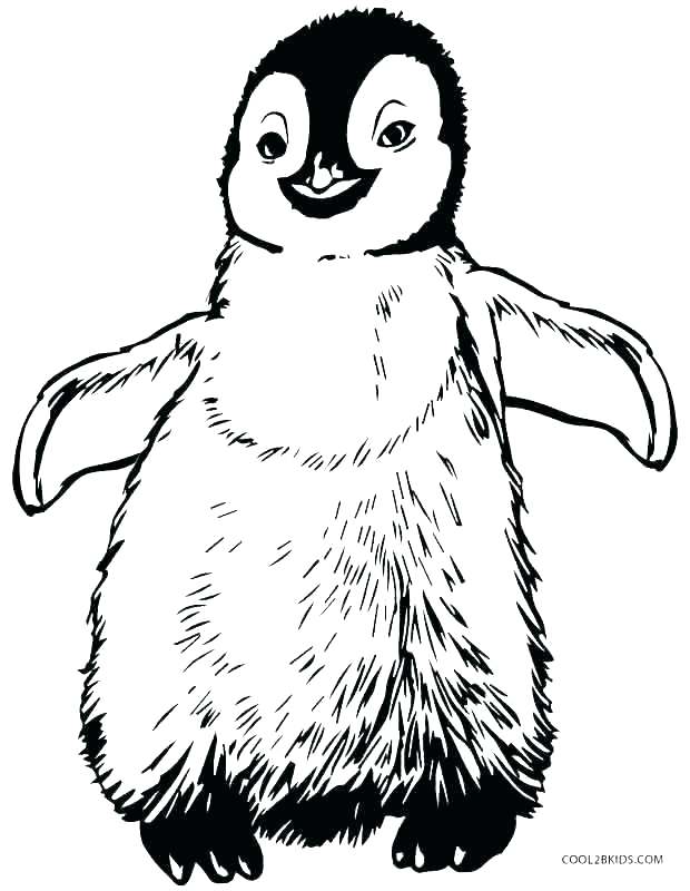 620x800 Coloring Coloring Pages Penguins Animated Pictures Of Baby