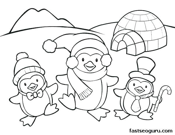 Penguin Coloring Pages For Adults at GetDrawings | Free download