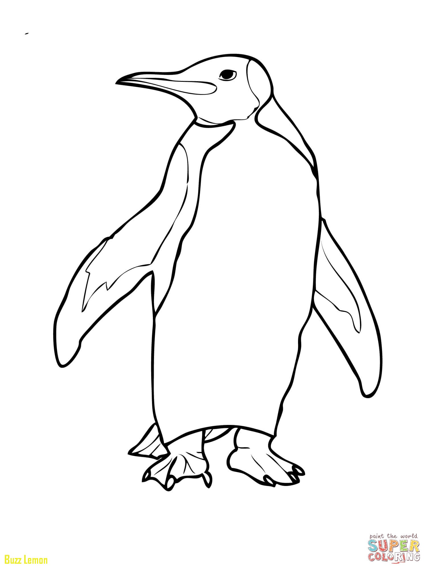 1500x2000 Coloring Page Penguin Elegant Penguins Coloring Pages Free