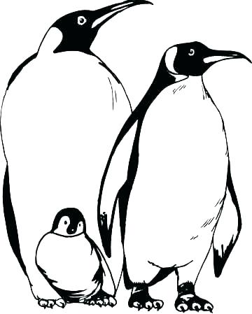 360x449 Emperor Penguin Coloring Page Coloring Pages Of Penguins Penguin