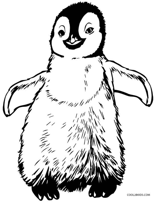 620x800 Baby Penguin Coloring Pages Printable Penguin Coloring Pages
